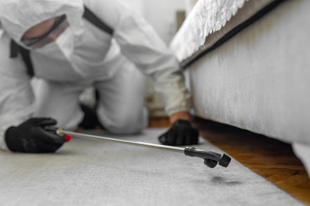 Professional Termite Control technician working in Philippi, WV