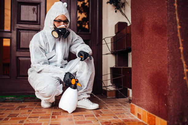 Reliable Termite Control contractor in Philippi, WV by Nex Pest Control