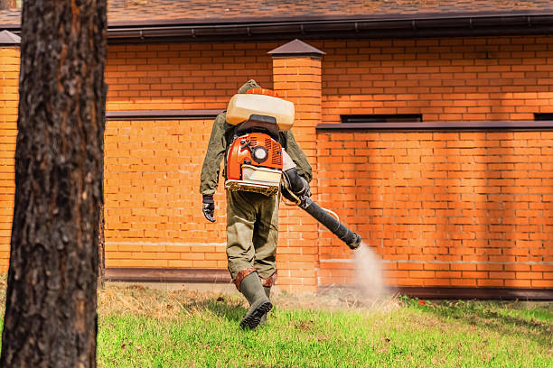 Trusted Mosquito Control service in Philippi, WV - Nex Pest Control